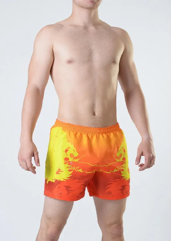 Men Swimming Shorts 1815p1